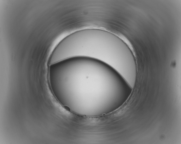 X0000091931096200709051235