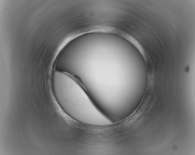 X0000091931099200709051235