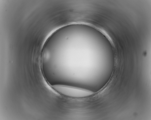 X0000091931100200709051235