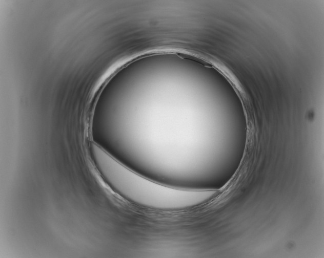 X0000091931101200709051235