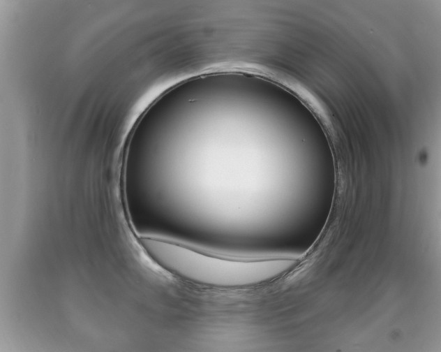 X0000091931102200709051235
