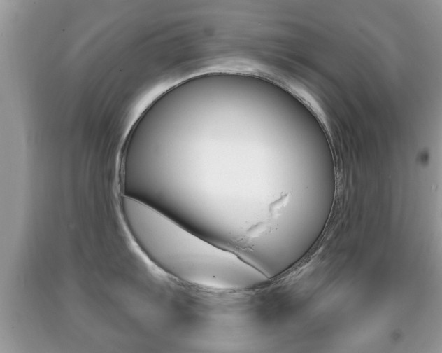 X0000091931103200709051235