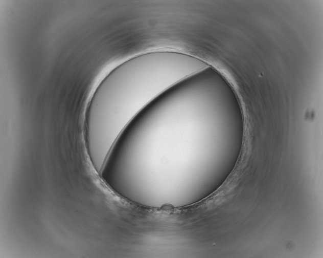 X0000091931104200709051235