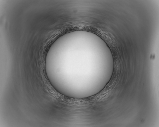 X0000091931105200709051235