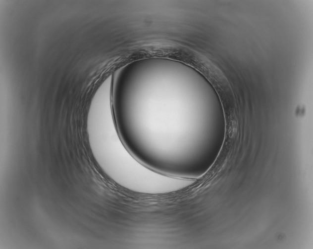X0000091931108200709051235