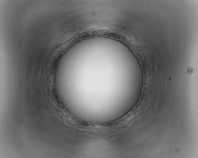 X0000091931109200709051235