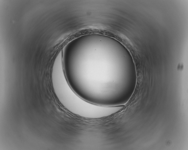 X0000091931110200709051235