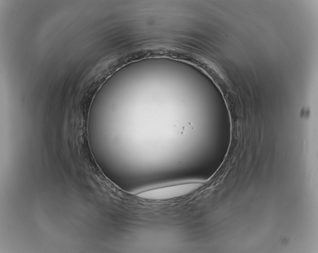 X0000091931111200709051235