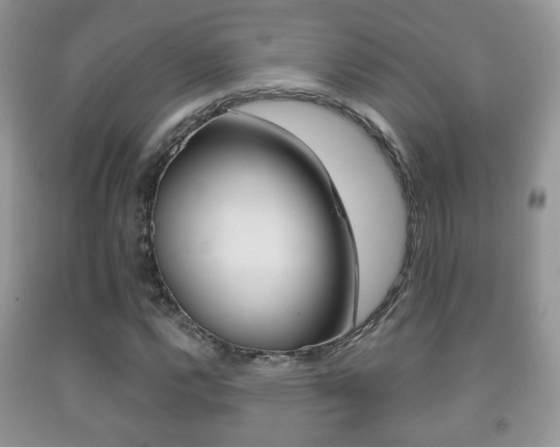 X0000091931112200709051235