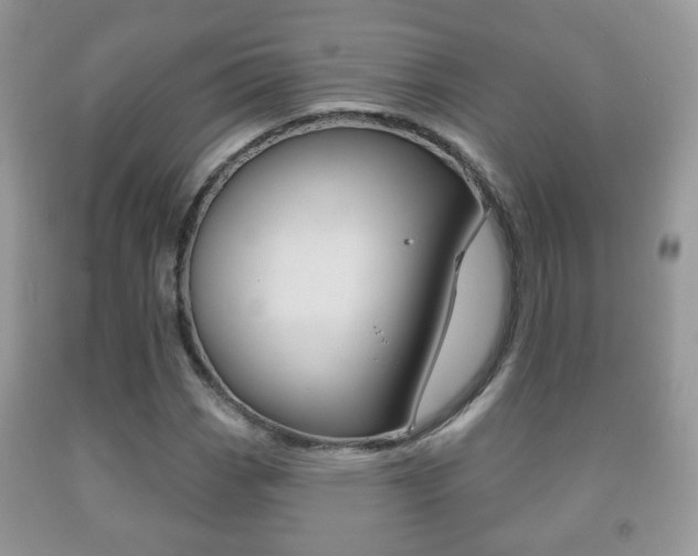X0000091931113200709051235