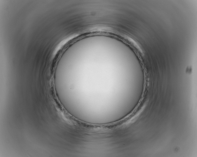 X0000091931117200709051235