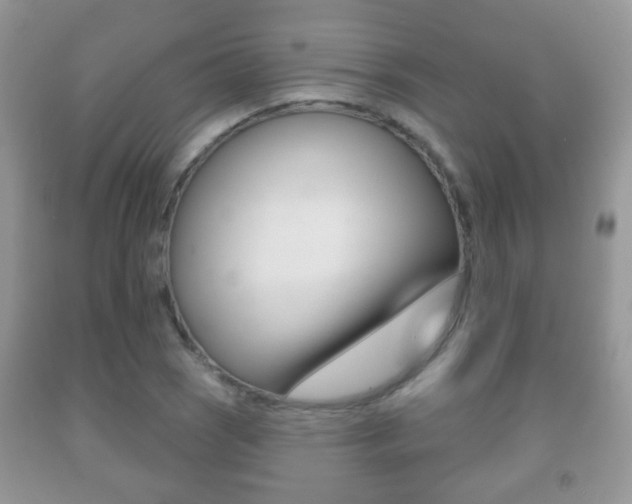 X0000091931121200709051235
