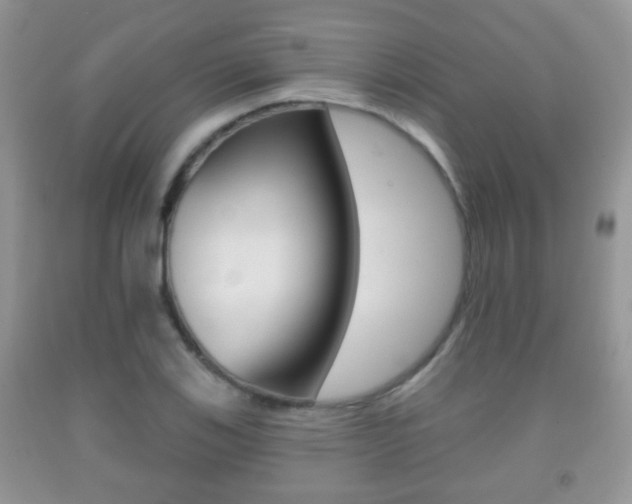 X0000091931123200709051235