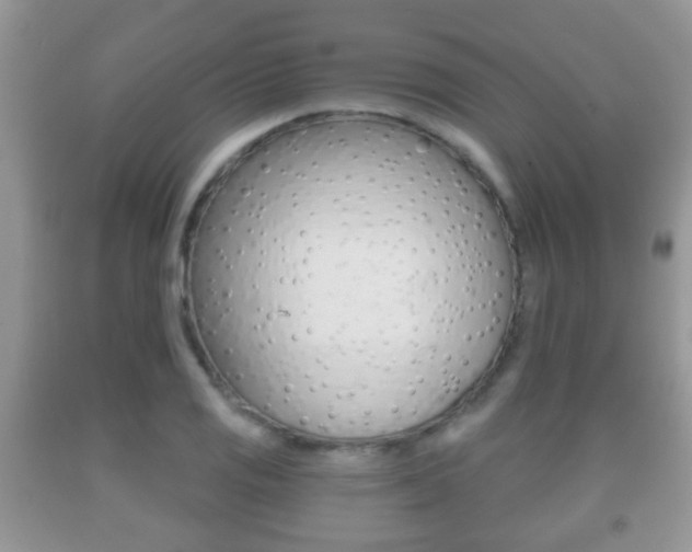 X0000091931125200709051235