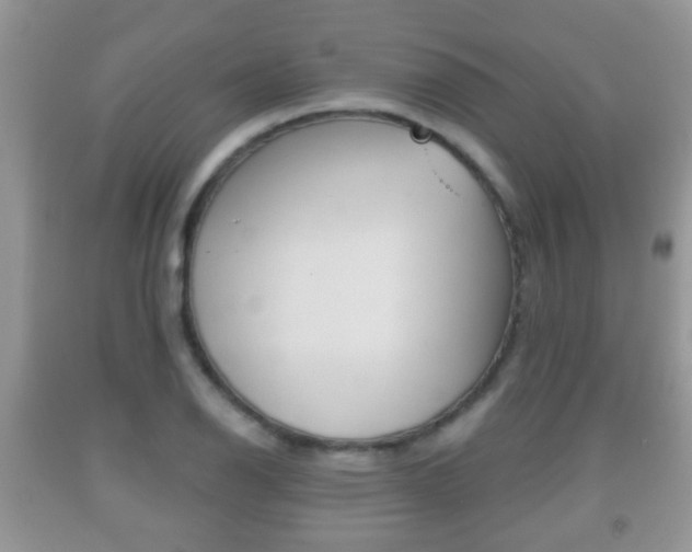 X0000091931126200709051235