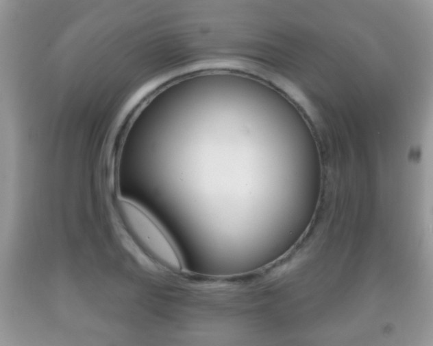 X0000091931127200709051235