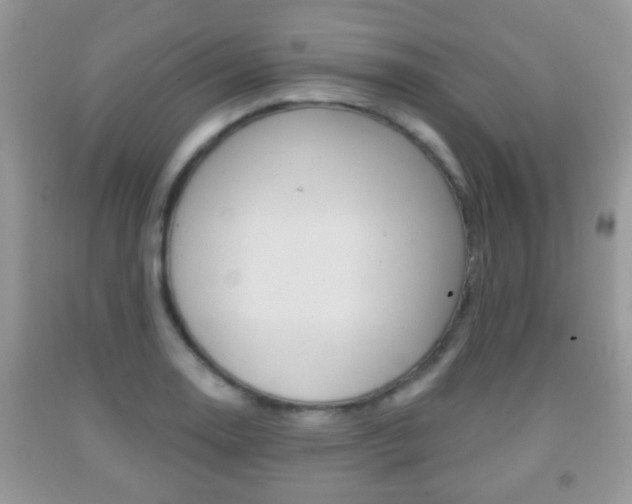 X0000091931130200709051235