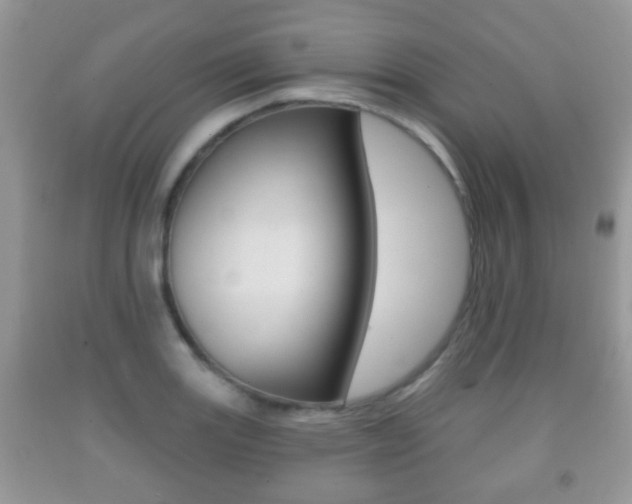 X0000091931131200709051235