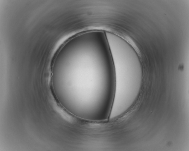 X0000091931132200709051235