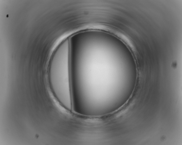 X0000091931133200709051235
