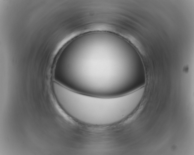 X0000091931134200709051235