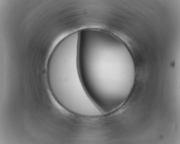 X0000091931135200709051235