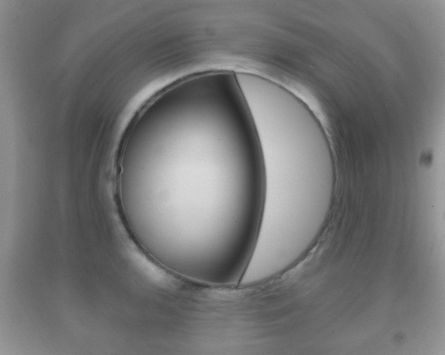 X0000091931136200709051235