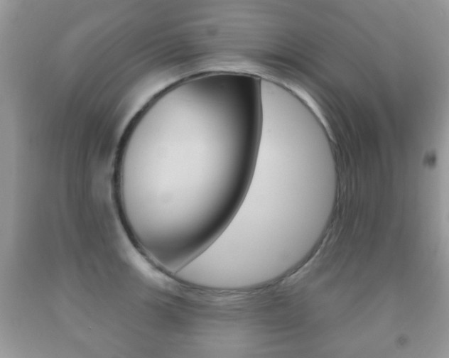 X0000091931139200709051235