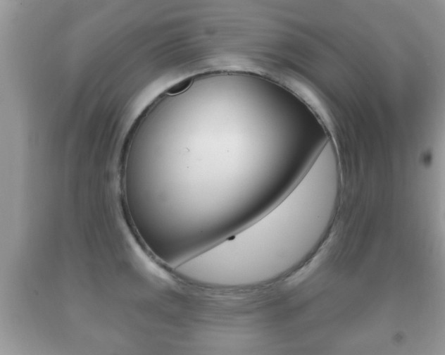 X0000091931141200709051235