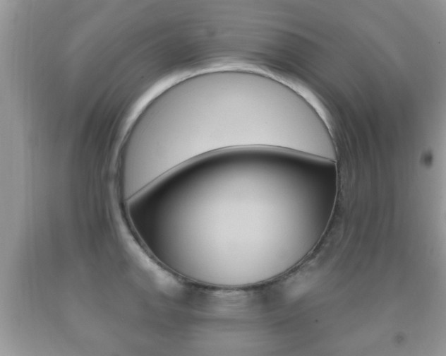 X0000091931142200709051235