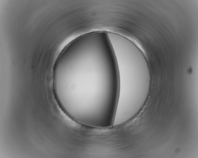 X0000091931143200709051235