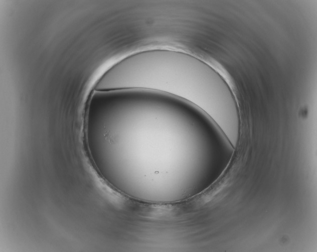 X0000091931144200709051235