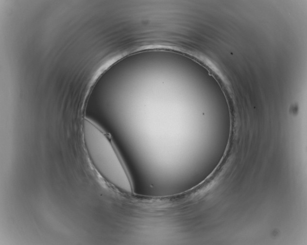 X0000091931145200709051235