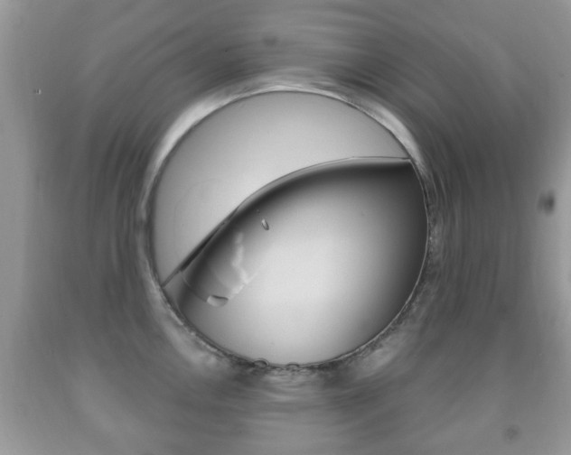 X0000091931146200709051235