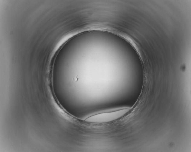X0000091931147200709051235