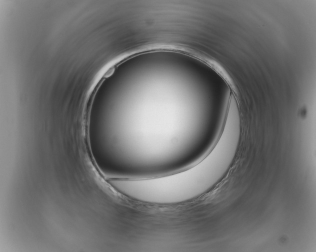 X0000091931148200709051235
