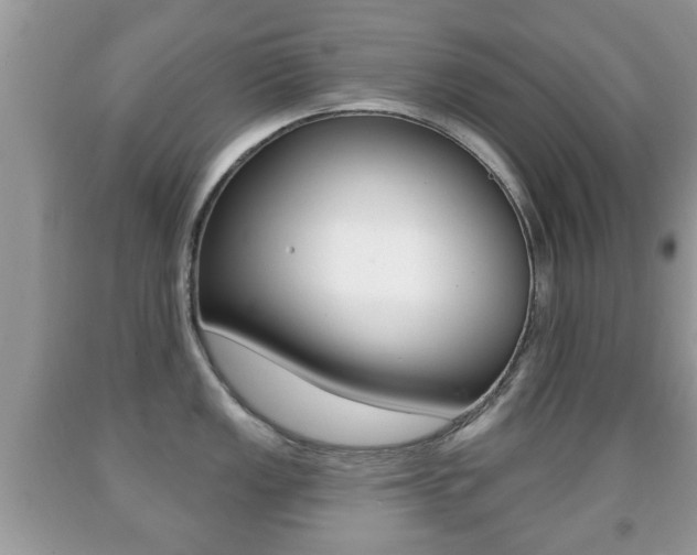 X0000091931149200709051235