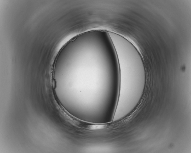 X0000091931151200709051235