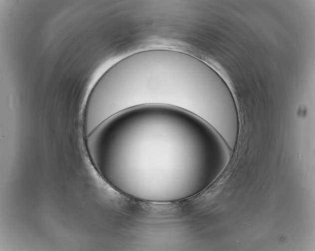 X0000091931152200709051235
