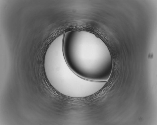 X0000091931153200709051235