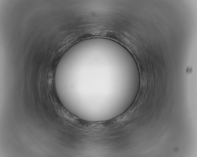 X0000091931154200709051235