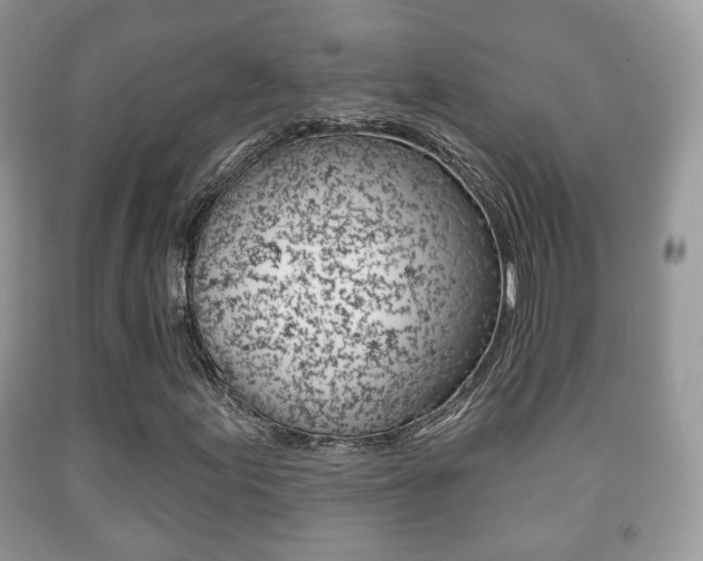 X0000091931155200709051235