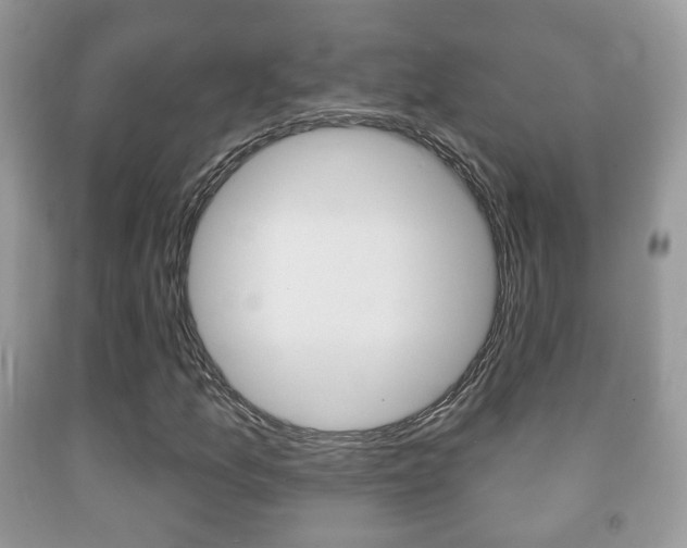 X0000091931157200709051235
