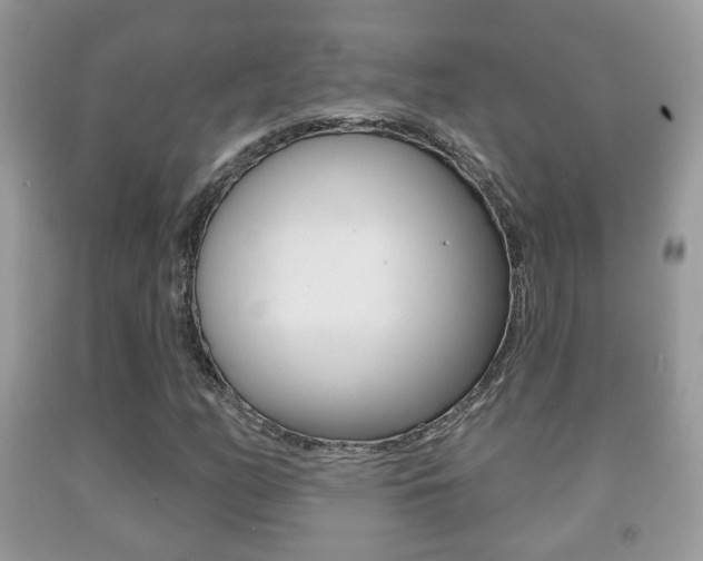 X0000091931158200709051235