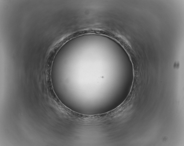 X0000091931159200709051235
