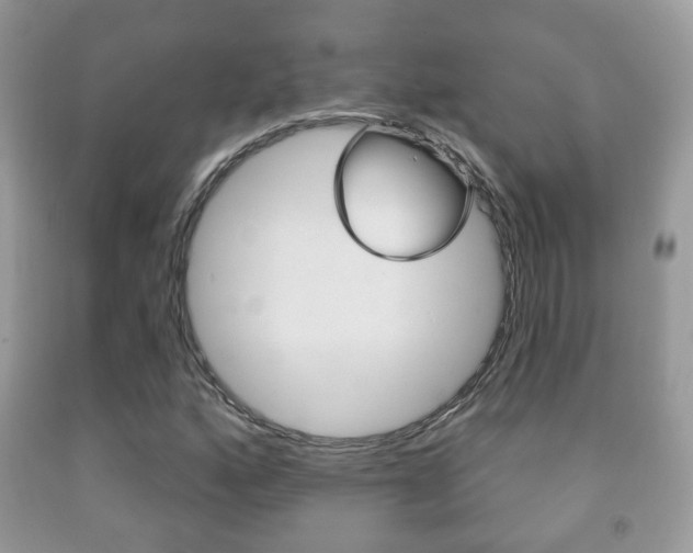 X0000091931160200709051235
