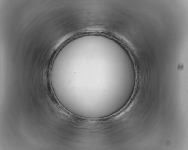 X0000091931162200709051235