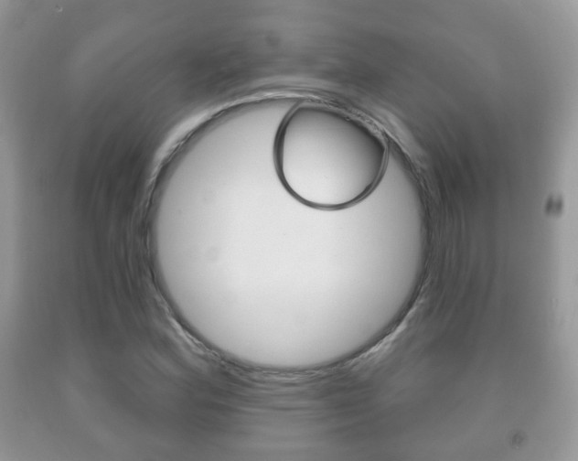 X0000091931164200709051235