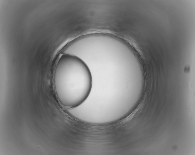 X0000091931165200709051235