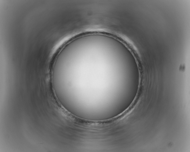 X0000091931167200709051235